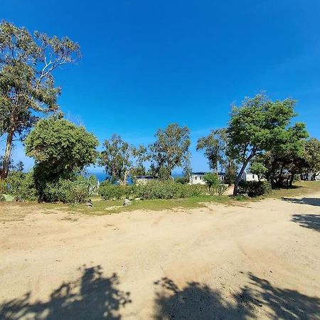 Calvi Mobil-Home Neuf Particulier Sur Camping Lumio Kültér fotó